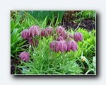 Klik for forst�rrelse
