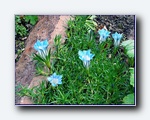 Klik for forst�rrelse