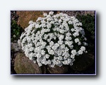 Klik for forst�rrelse