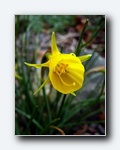 Klik for forst�rrelse