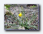 Klik for forst�rrelse