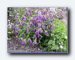 Klik for forst�rrelse