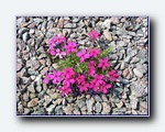 Klik for forst�rrelse