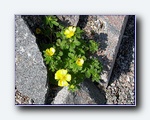 Klik for forst�rrelse