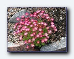 Klik for forst�rrelse