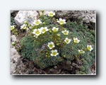 Klik for forst�rrelse