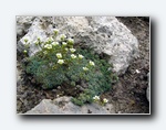 Klik for forst�rrelse