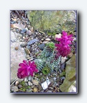 Klik for forst�rrelse