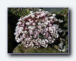 Klik for forst�rrelse