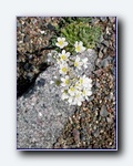 Klik for forst�rrelse
