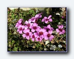 Klik for forst�rrelse