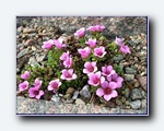 Klik for forst�rrelse