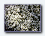 Klik for forst�rrelse