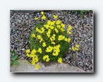 Klik for forst�rrelse