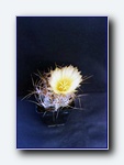 Klik for forst�rrelse