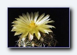 Klik for forst�rrelse