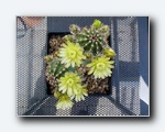 Klik for forst�rrelse