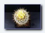 Klik for forst�rrelse