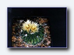 Klik for forst�rrelse