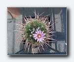 Klik for forst�rrelse