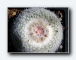 Klik for forst�rrelse
