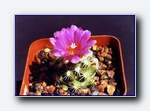 Klik for forst�rrelse