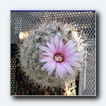 Klik for forst�rrelse