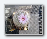 Klik for forst�rrelse