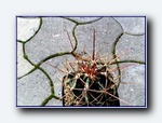 Klik for forst�rrelse