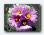 Klik for forst�rrelse