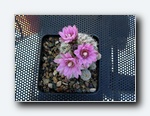 Klik for forst�rrelse