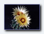 Klik for forst�rrelse