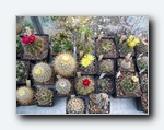 Klik for forst�rrelse