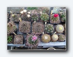 Klik for forst�rrelse