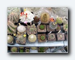 Klik for forst�rrelse