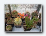 Klik for forst�rrelse