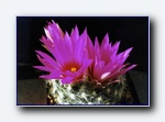 Klik for forst�rrelse