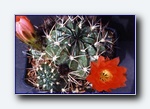 Klik for forst�rrelse