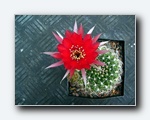 Klik for forst�rrelse