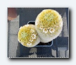 Klik for forst�rrelse
