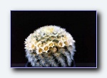 Klik for forst�rrelse