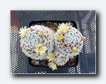 Klik for forst�rrelse