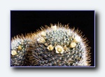 Klik for forst�rrelse