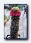 Klik for forst�rrelse