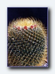 Klik for forst�rrelse