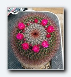 Klik for forst�rrelse
