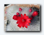 Klik for forst�rrelse