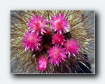 Klik for forst�rrelse