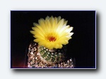 Klik for forst�rrelse