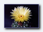 Klik for forst�rrelse
